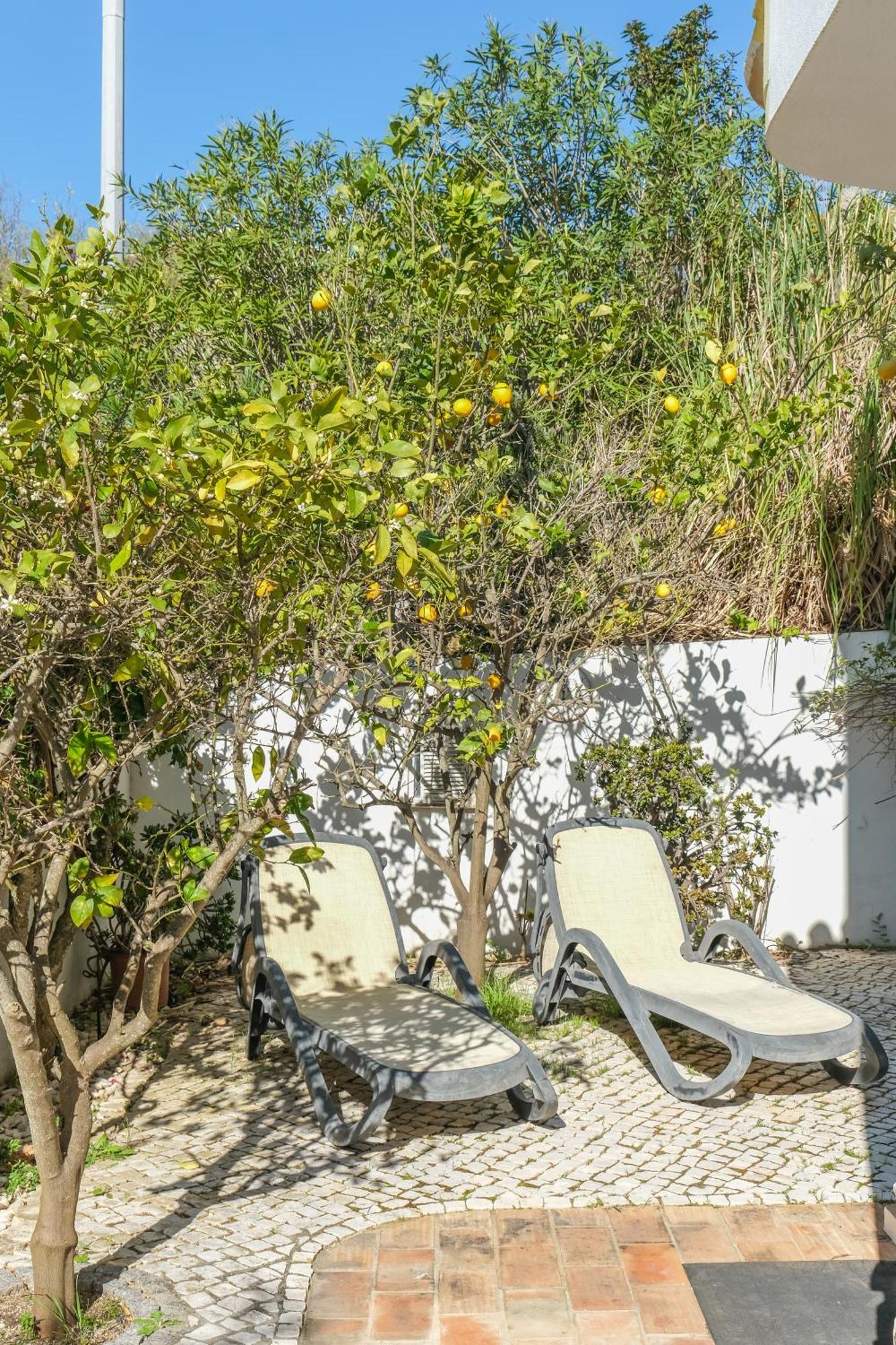 Senhora da Luz Casa Limonte 빌라 외부 사진